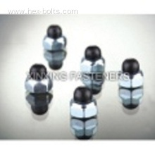 Stainless Steel Nylon Cap Nuts
